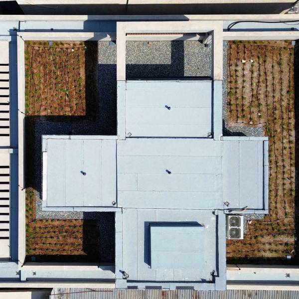 O_TOP VIEW-min.jpg